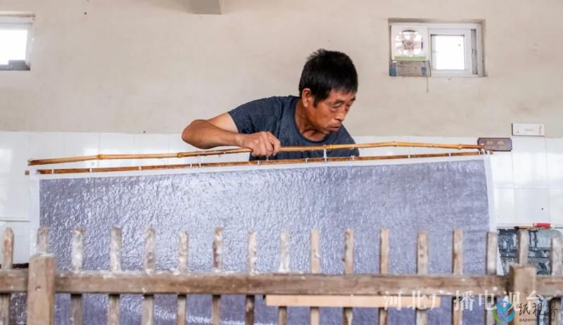 紙(1).jpg 紙(1).jpg