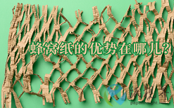 蜂窩紙的優(yōu)勢在哪兒？