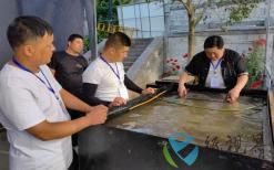 西和麻紙讓非遺技藝之美“活”起來