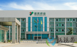 上半年收官！宜賓紙業(yè)表現(xiàn)如何？