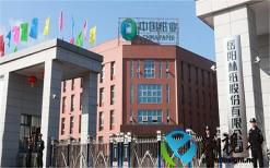 岳陽林紙：子公司年產(chǎn)5萬噸絨毛漿項目，力爭在今年年內(nèi)完成